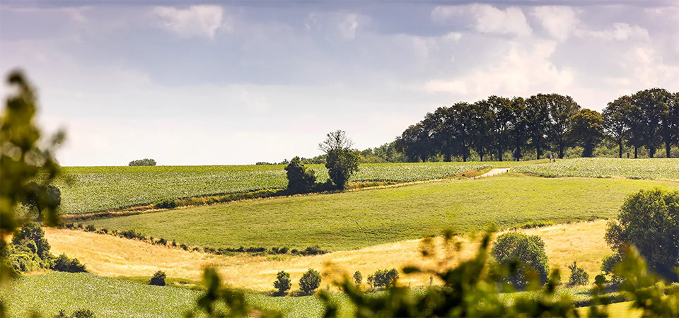 Limburg Heuvelland